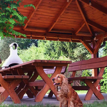 W Dolinie Radomki Dom wakacyjny Rogozek