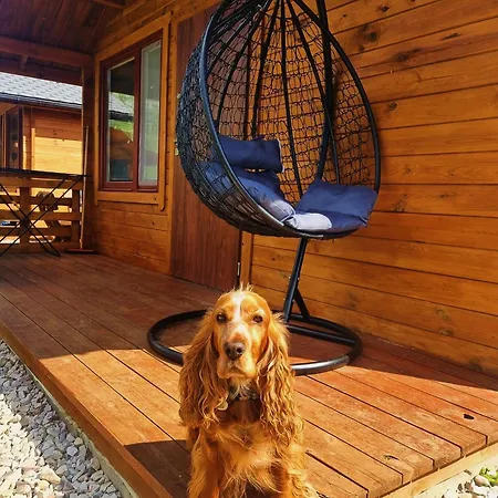 W Dolinie Radomki Dom wakacyjny *