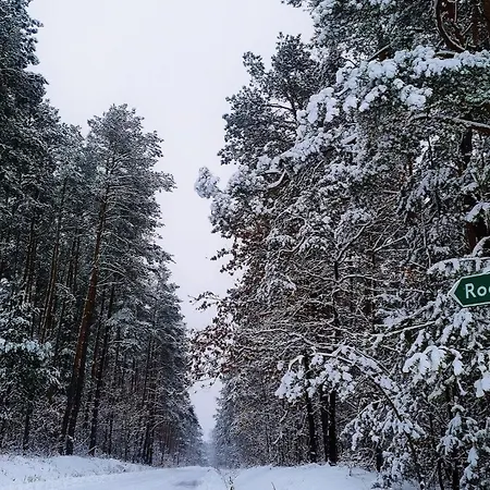 Dom wakacyjny W Dolinie Radomki *