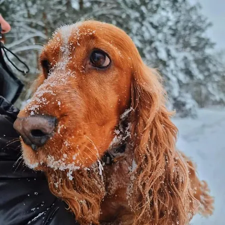 W Dolinie Radomki Rogozek