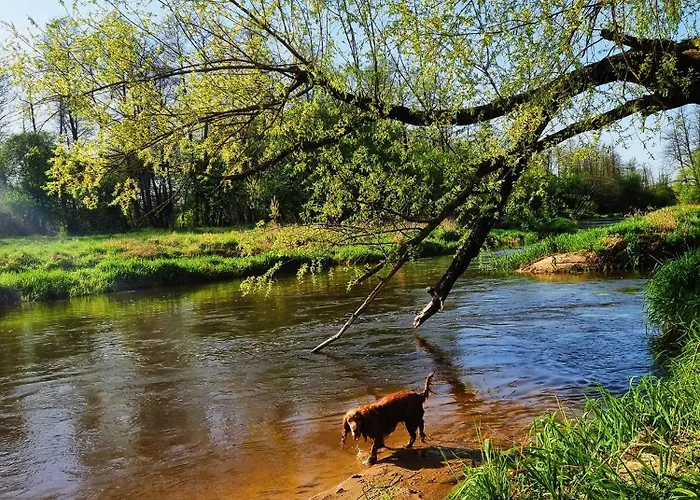 W Dolinie Radomki * Rogozek