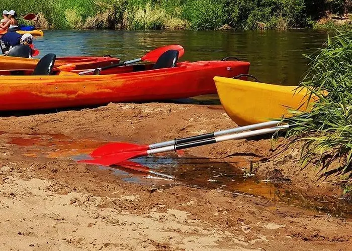 W Dolinie Radomki * Rogozek