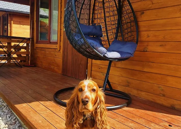 W Dolinie Radomki בית נופש *