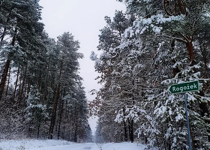 בית נופש W Dolinie Radomki *