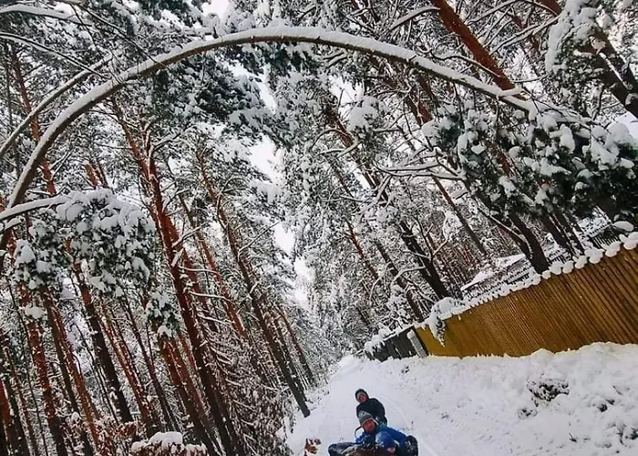 W Dolinie Radomki בית נופש